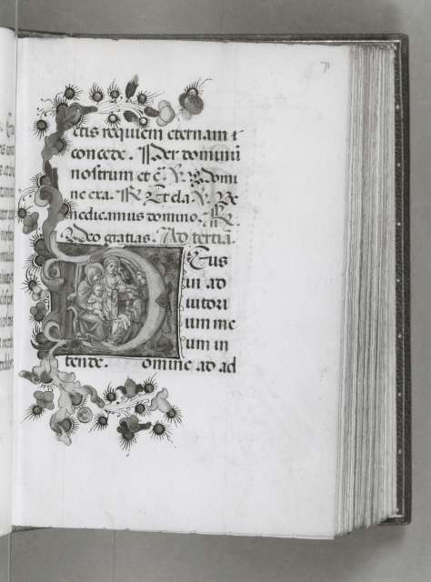 Hobbs, Sherley — Book of Hours. Florence, ca. 1440. Folio 71 — insieme